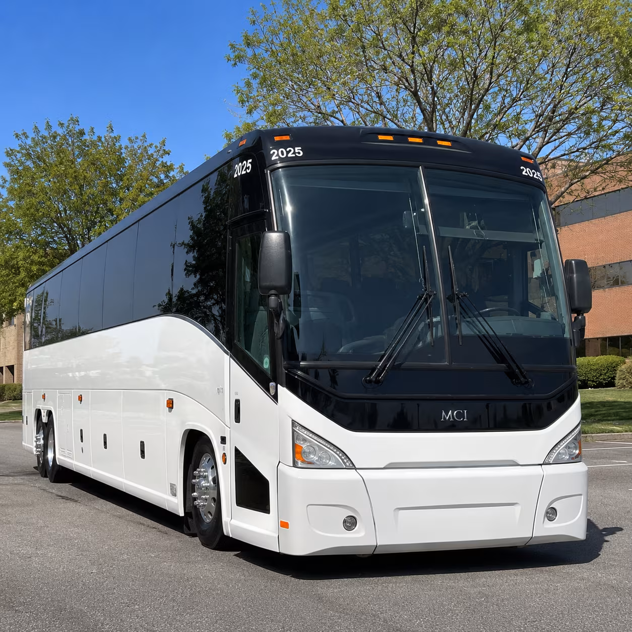 wildlife world zoo field trips from goodyear are easy with a bus